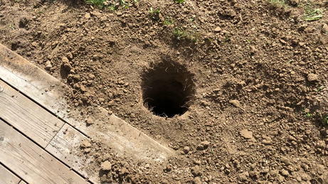 Frame-10-11-2018-07-25-56copy